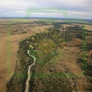 "The Narran River as it should be" : Pic 40