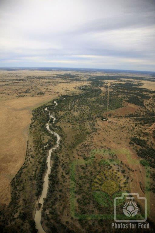 "The Narran River as it should be" : Pic 40