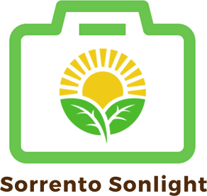SORRENTO SONLIGHT 2