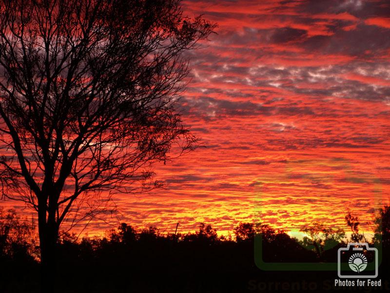 "Liquid Lava Sunset" : Pic 17
