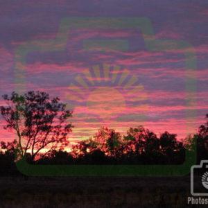 "Pink Sunset" : Pic 14