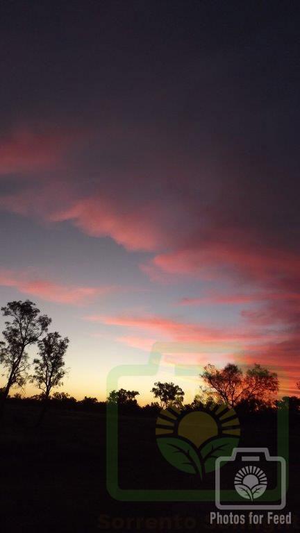 "Pastel Blush Sunset" : Pic 8