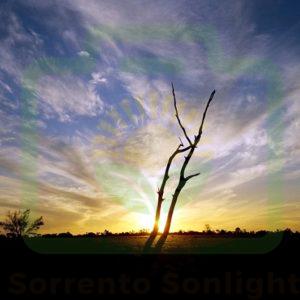 "Fairydust Sunset" : Pic 18