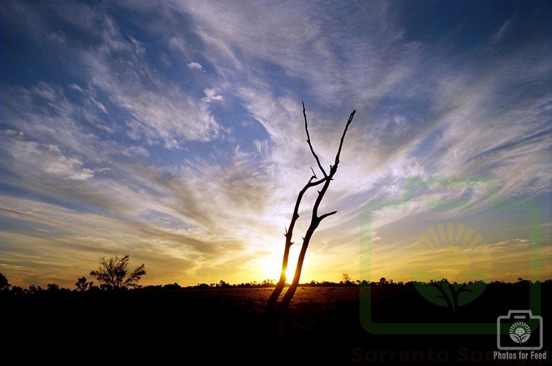 "Fairydust Sunset" : Pic 18