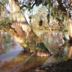 "Tranquility": Pic 30