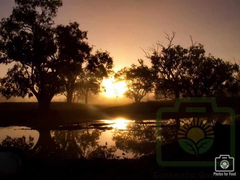 "Sunrise at Narran River Crossing" : Pic 45