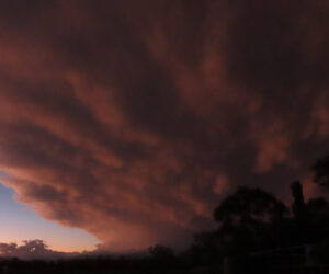 "Ominous & Without Rain"  : Pic 54