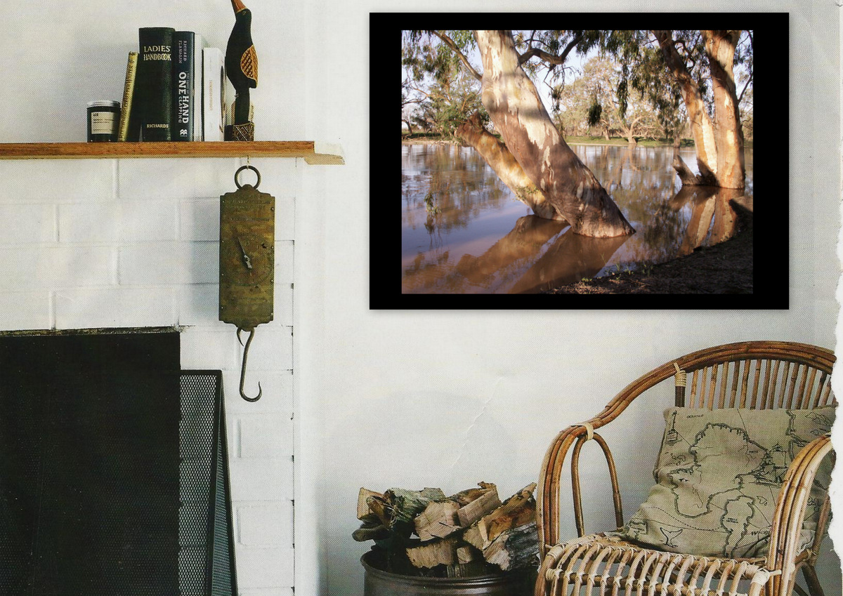 Wall Art of tranquil Australian River scene - Narran River