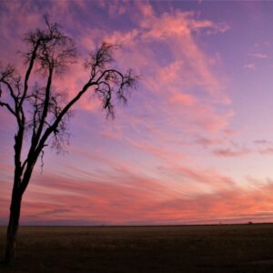 "Peach Washed Sunset" : Pic 58