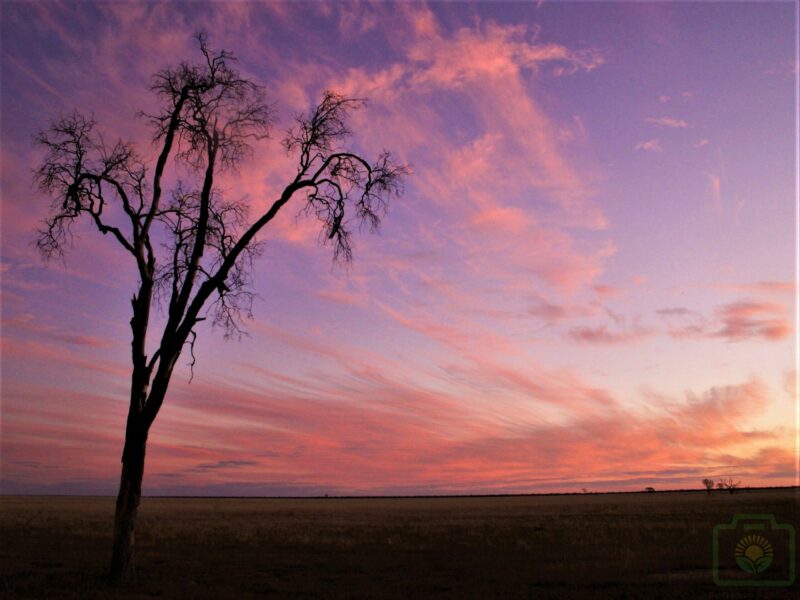 "Peach Washed Sunset" : Pic 58