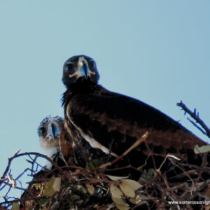 "Do They See Us" : Pic 69