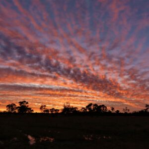 "Shimmering Velvet Sunset" : Pic 53