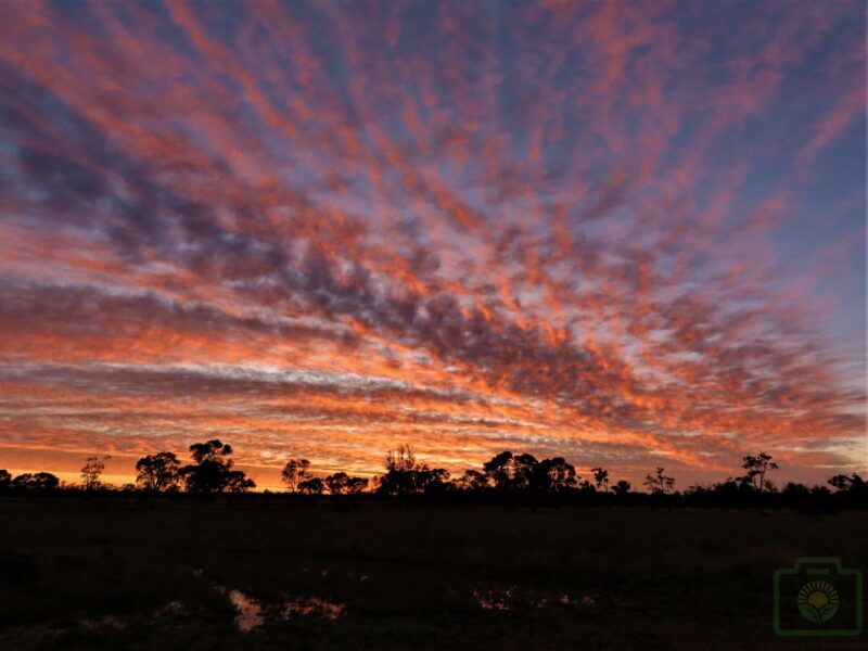 "Shimmering Velvet Sunset" : Pic 53