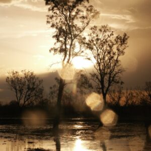 Rain Magic : Pic 49