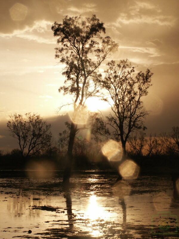 Rain Magic : Pic 49