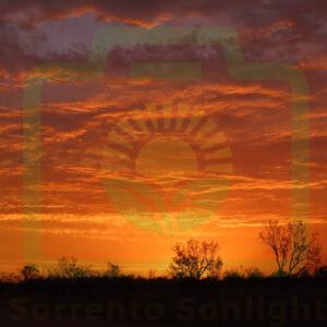 "Tangerine Sky" : Pic 61