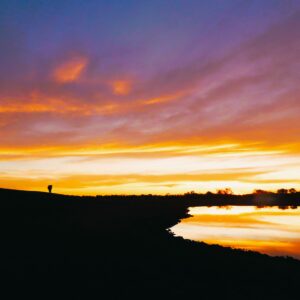 "Silhouettes Enshrouded By Light & Night" : Pic 70