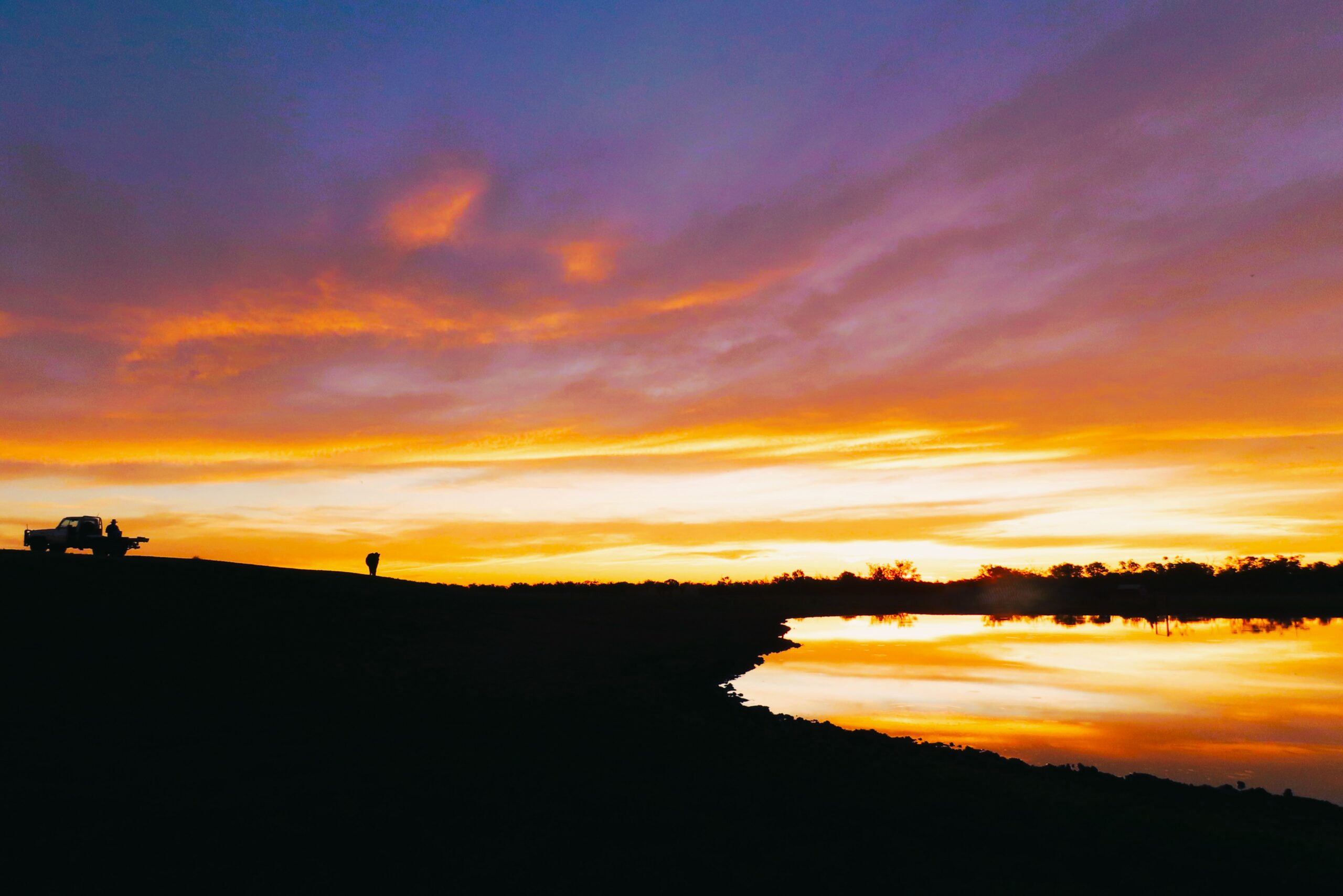 "Silhouettes Enshrouded By Light & Night" : Pic 70