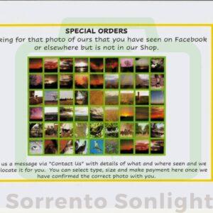 SPECIAL ORDERS : Pic 13