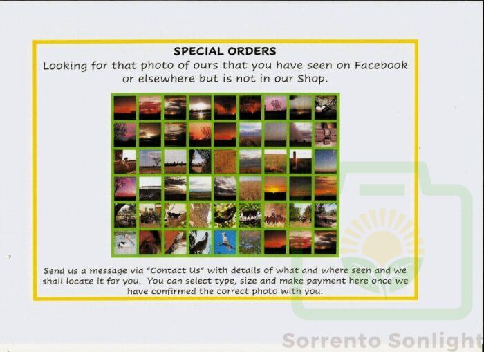 SPECIAL ORDERS : Pic 13